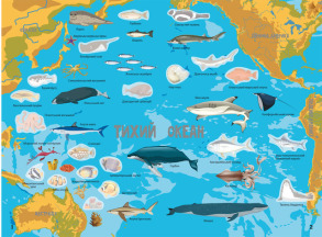 Атлас океанів з багаторазовими наліпками. Фото 3