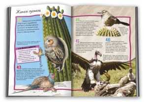 100 фактів про птахів. Фото 2