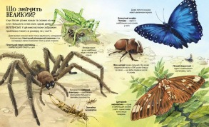 Велика книга комах і не тільки. Фото 2