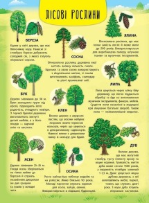 Енциклопедія з наліпками — Лісові тварини та рослини. Фото 2