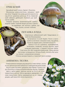Перлини природи України. Фото 3
