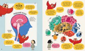 Книжка про мозок і те, як він працює. Фото 2