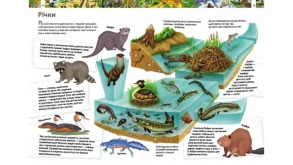 Дитяча енциклопедія. Дивовижний світ тварин. Фото 2