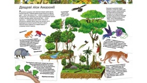 Дитяча енциклопедія. Дивовижний світ тварин. Фото 3