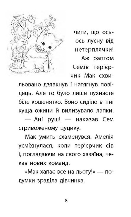 Історії порятунку. Книга 9. Загублене кошеня. Фото 3