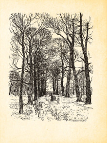 Пітер Пен у Кенсінґтонських садах : ілюстрації Артура Рекхема. Фото 8