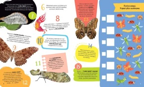 Комахи. 100 цікавих фактів. Фото 3