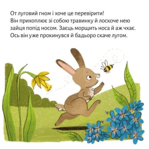 Піксі-книжка Весняні витівки. Фото 5