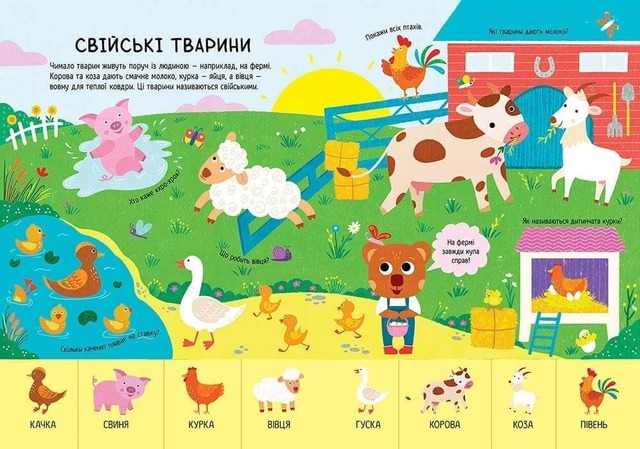 Головна книга малюка. Книга найважливіших знань. Фото 5