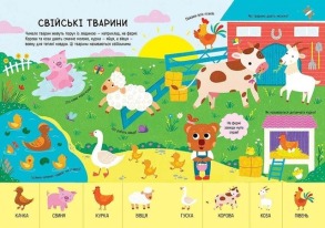 Головна книга малюка. Книга найважливіших знань. Фото 5