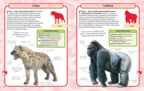 Дикі тварини. 50 найвідоміших видів: міні-енциклопедія. Фото 3