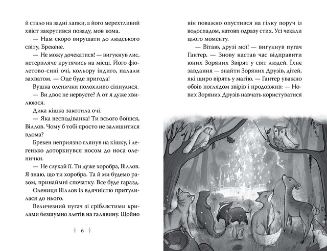 Зоряні Друзі. Книжка 1. Зачароване дзеркало. Фото 3