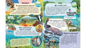 Енциклопедія Водного світу. Від медуз до китів. Фото 2