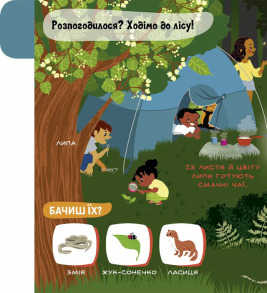 Моя перша звуконаука: ліс. Фото 2