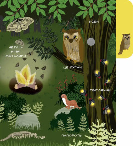 Моя перша звуконаука: ліс. Фото 3