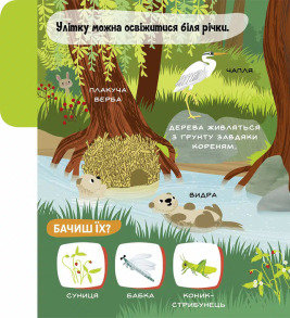 Моя перша звуконаука: ліс. Фото 4