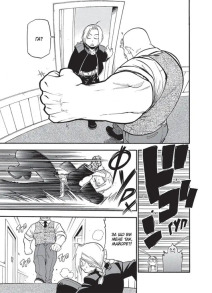 Сталевий Алхімік. Том 7. Фото 5