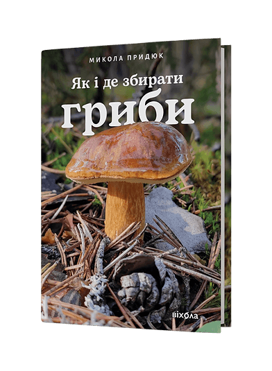 Як і де збирати гриби