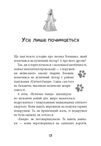 Вулична банда. Книга 2: Схитрував — вже майже переміг!. Фото 2