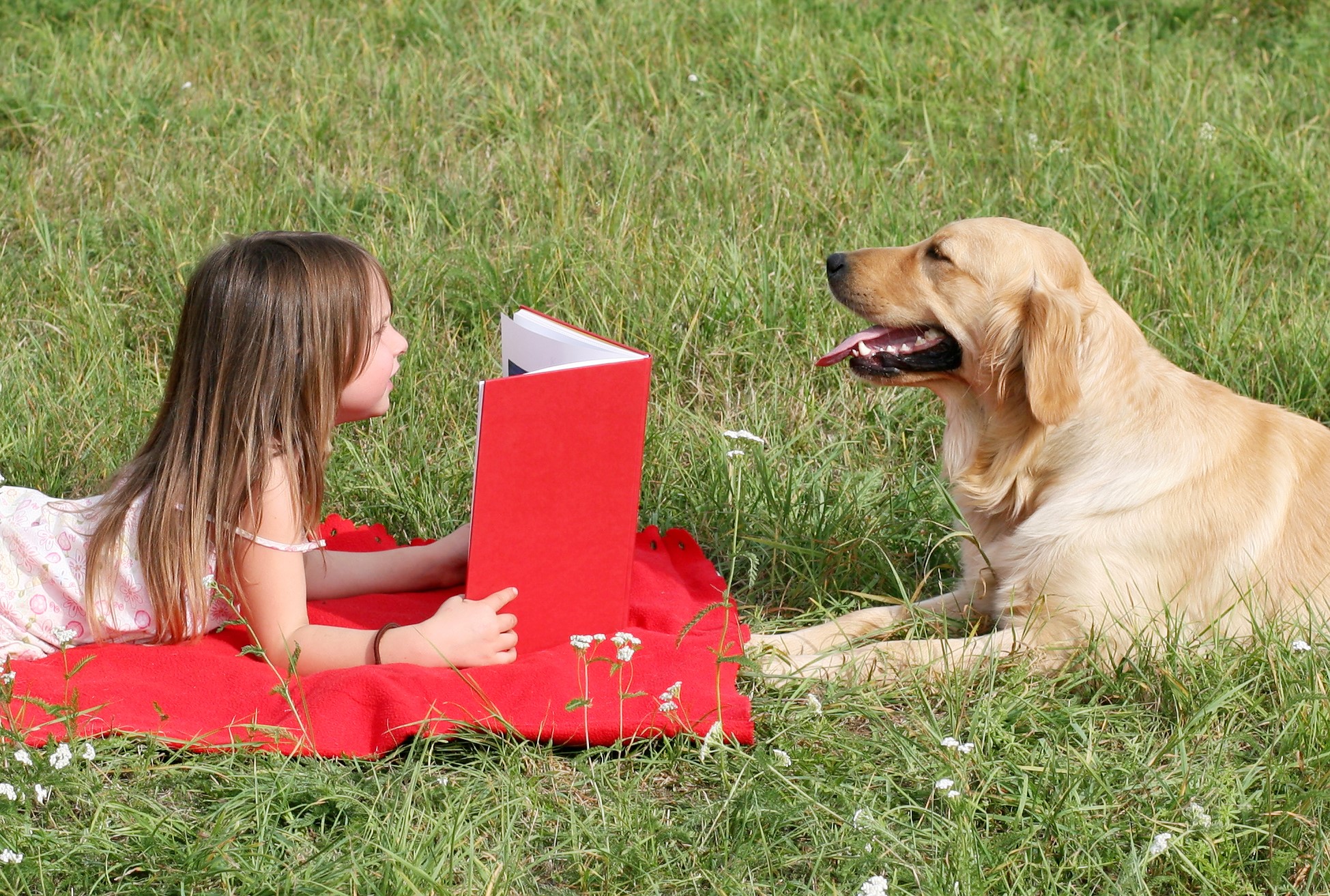 Дети читают собаке. Собака для детей. Дети с животными. Книги про собак. Чтение книги с собакой.
